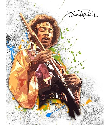 Amazon.com: Jimi Hendrix 60's Mr. Experience Poster/Print